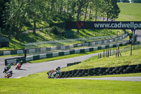 Lower Group Green Bikes